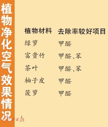 半數(shù)指甲油含內(nèi)分泌干擾物，YSL等大牌上黑榜