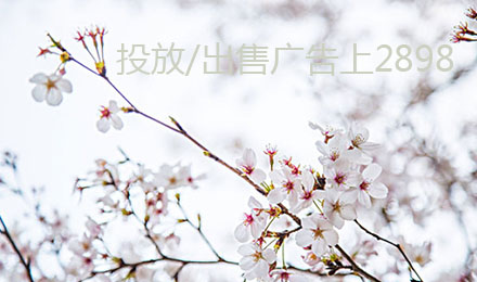 2018春節(jié)熱銷季！站長資源平臺月付網(wǎng)站廣告降價啦！