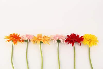 長(zhǎng)沙花藝培訓(xùn)學(xué)校：花說(shuō)她說(shuō)花藝教你如何挑選插花素材！