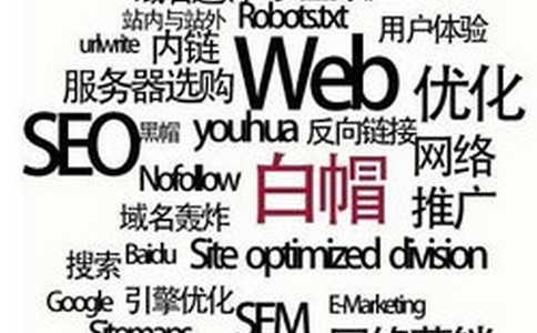 網(wǎng)站如何做才能更快的獲得排名