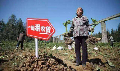 拼多多依靠農(nóng)產(chǎn)品起家，現(xiàn)將重投推動新農(nóng)業(yè)改造